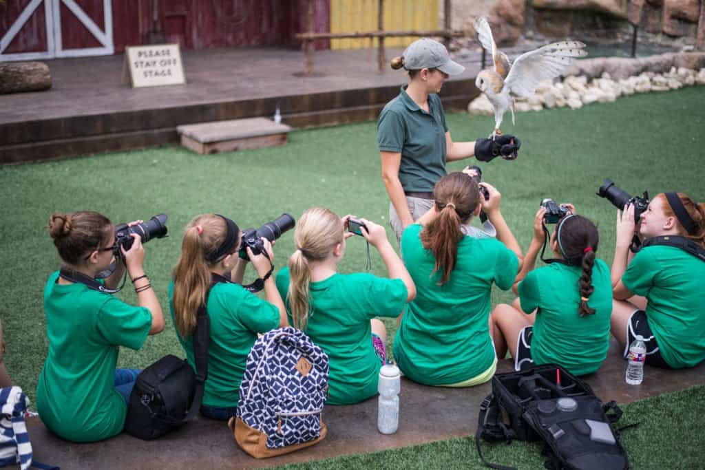 Photography - Photography Workshop - Rare Learning - 2026